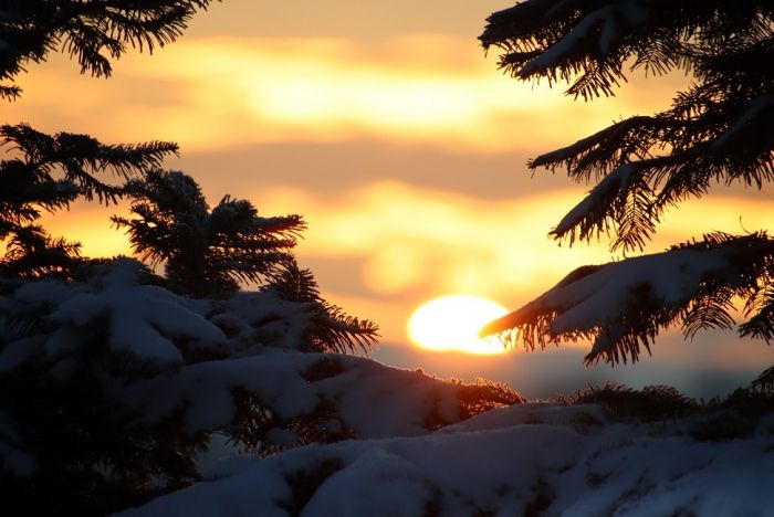 Morgenstimmung im November