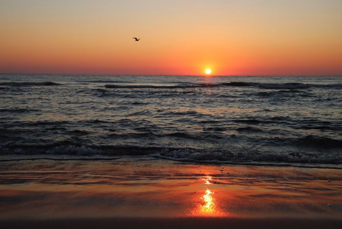 Den Tag begrï¿½ï¿½en und sich Zeit nehmen