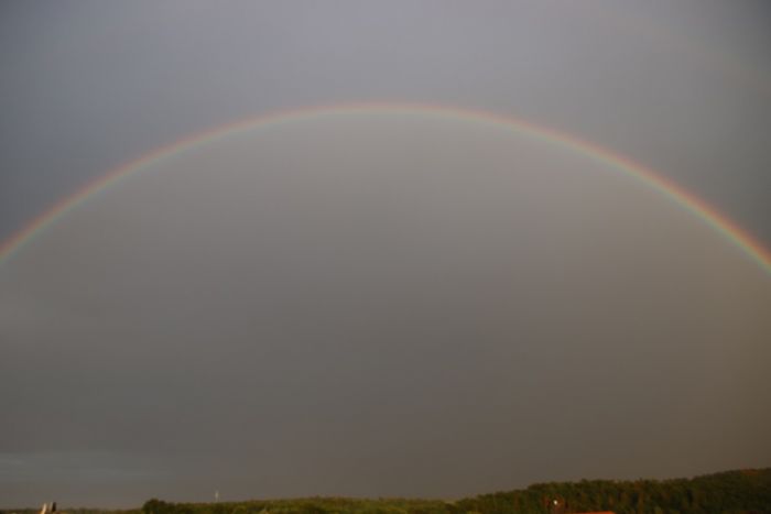 Regenbogen