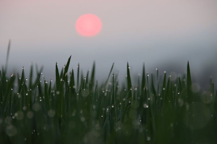 Sanfter Sonnenaufgang