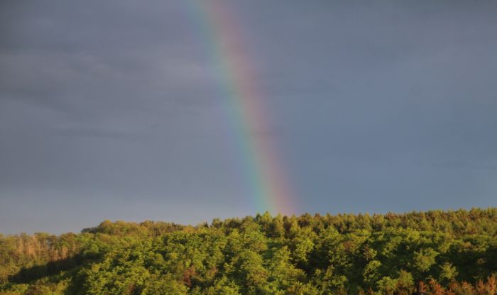 Regenbogen