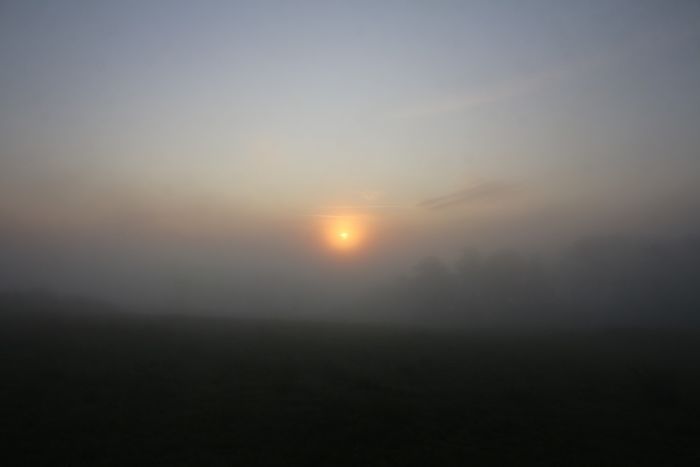 Landschaft im Morgennebel