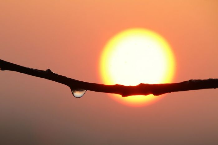 Sonne und Regentropfen
