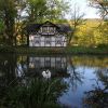 See mit Schwanenhaus und  Schwaneninsel mit Nachwuchs