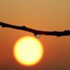 Sonne und Regentropfen