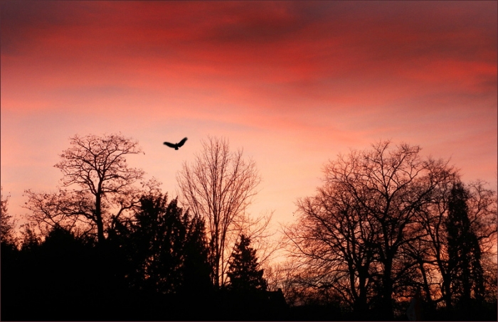 Morgenrot im Februar