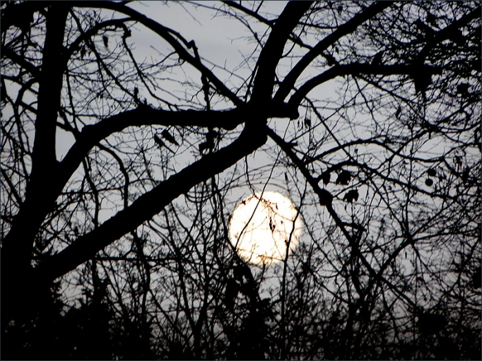 Gestern war Vollmond
