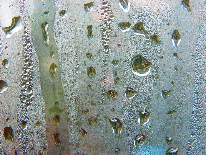 Kondenswasser an einer Fensterscheibe