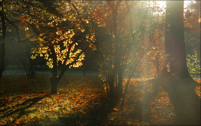 Morgensonne im Oktober
