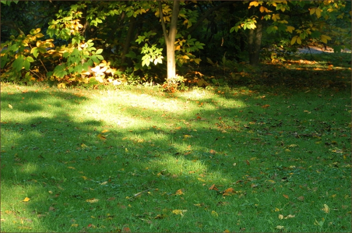 Licht und Schatten