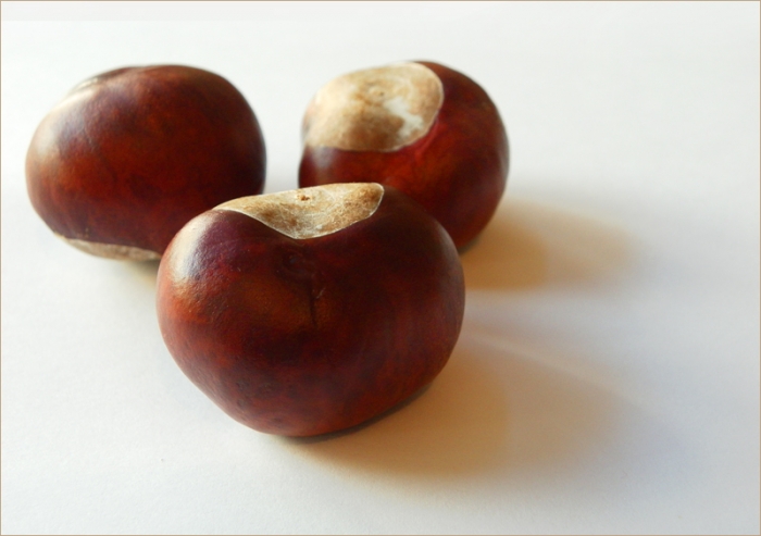 Drei Kastanien