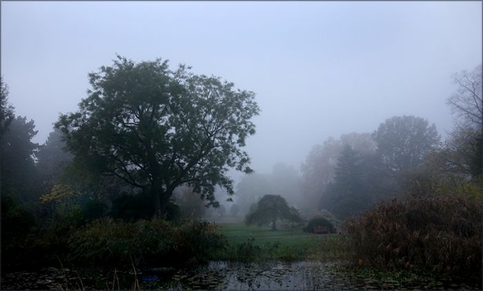 Morgennebel im November