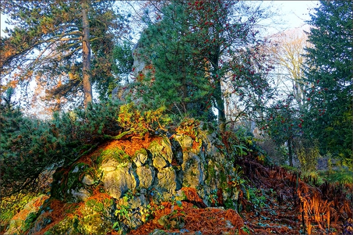 Felsen am Waldrand in der Morgensonne