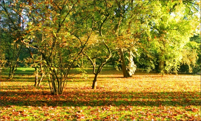 Goldener Oktober