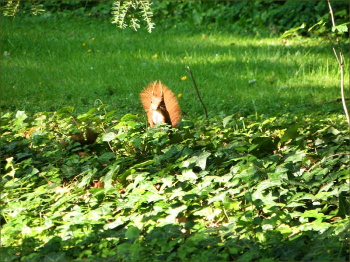 Von der Maisonne geküsst