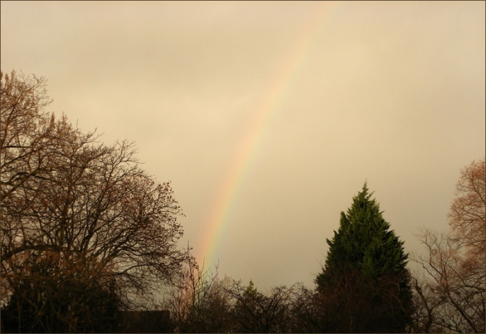Regenbogen