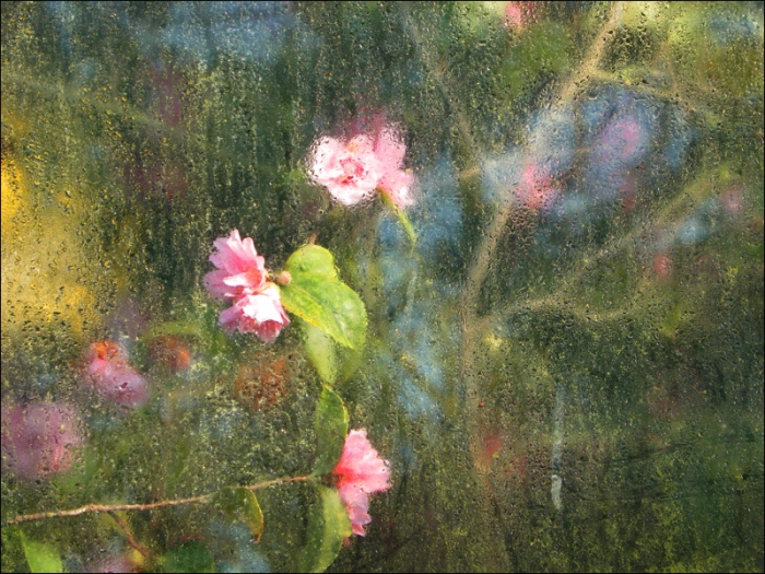 Fensterscheibe mit Kondenswasser