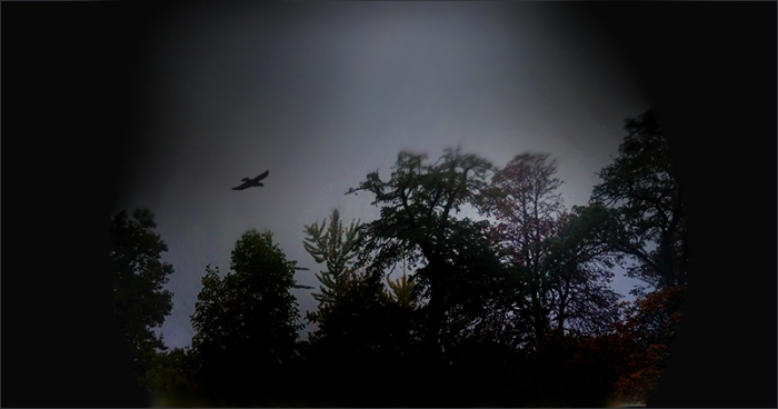 Nebliger Novembermorgen