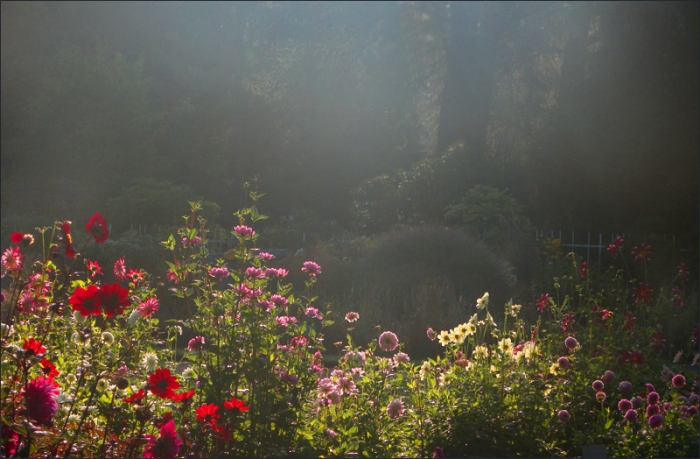 Garten am frühen Septembermorgen