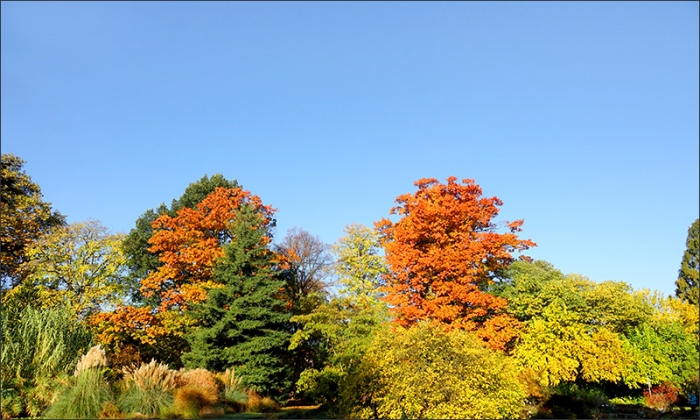 Herbstfarben am 1. November