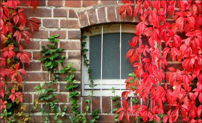 Fenster im Oktober