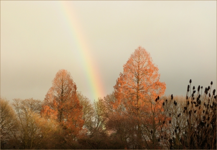 Regenbogen