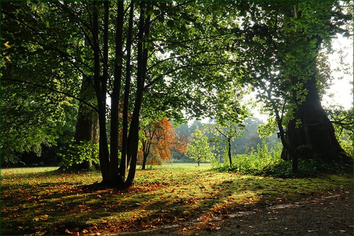 Der Herbst liegt in der Luft