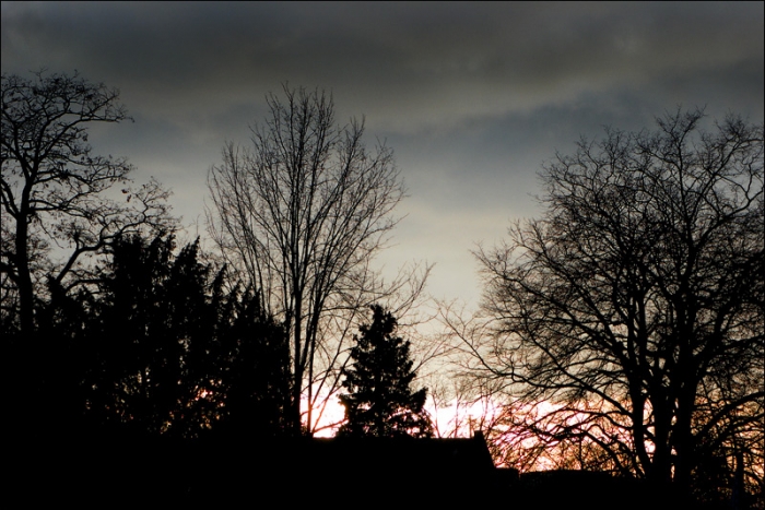 Februarmorgen vor Sonnenaufgang