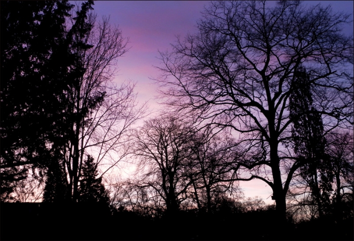 Februarmorgen vor Sonnenaufgang