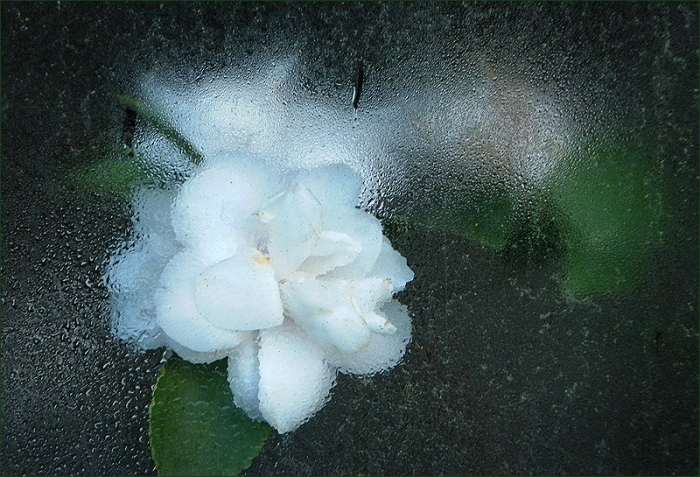 Fensterscheibe mit Kondenswasser