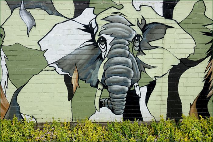 Graffiti an einer Mauer