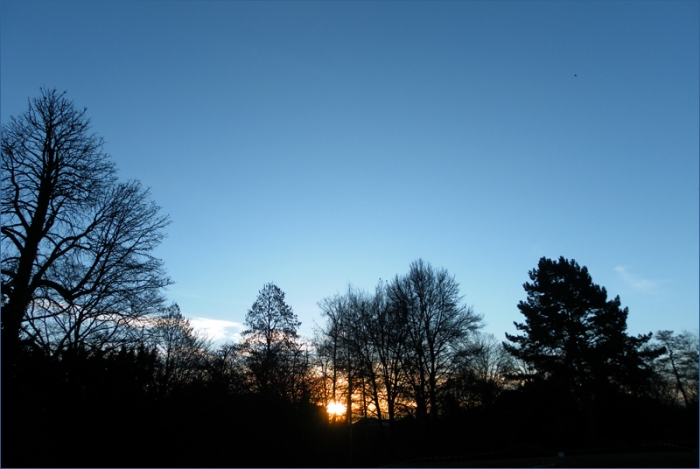 Sonnenaufgang im Februar