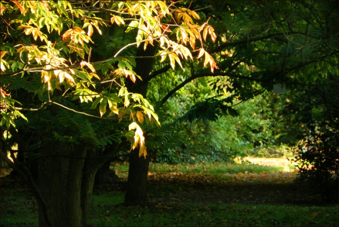 Licht und Schatten