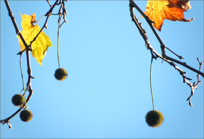 Blauer Dezemberhimmel