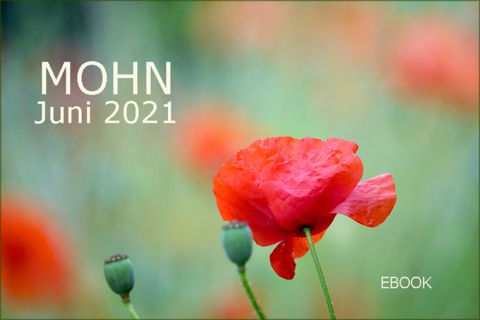 EBOOK- Cover  MOHN 2021