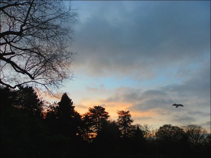 Februarmorgen vor Sonnenaufgang