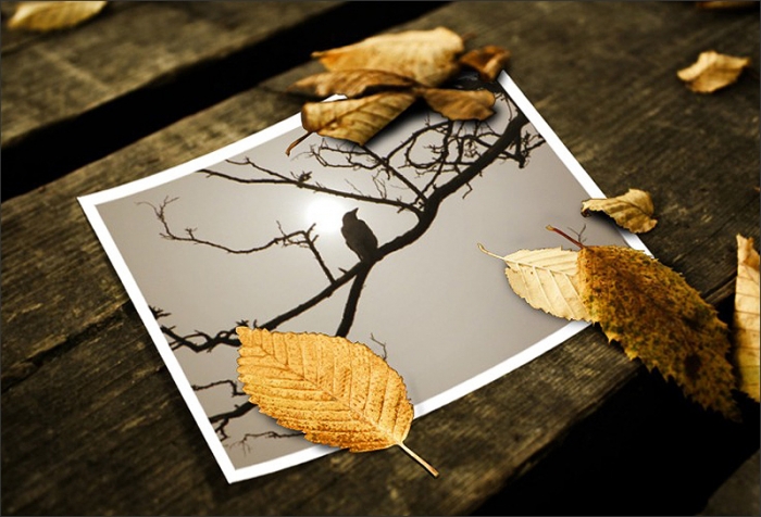 Mein Foto auf einer Holzbank