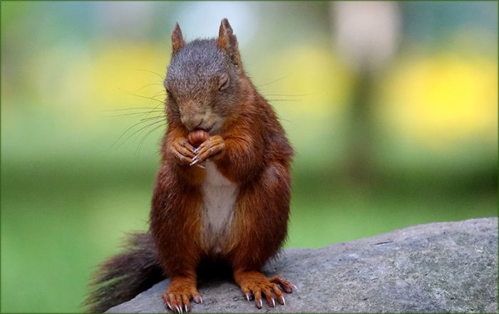 Augen zu und geniessen