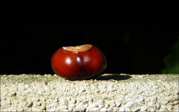 Kastanie