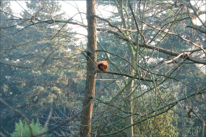 Kalter Februarmorgen