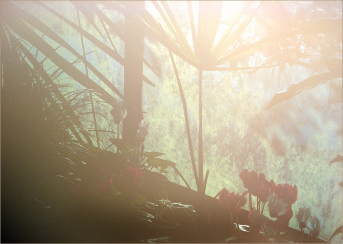 Morgennebel im Januar