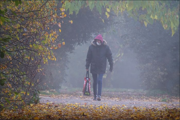 Elster und Eichhörnchen auf der Wiese