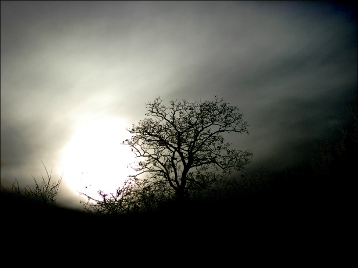 Morgennebel bei Sonnenaufgang