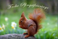 Pfingsten 2021 Pfingsten 2021