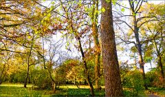 Sonniger Herbstmorgen