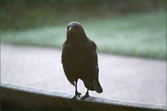 Kalter Oktobermorgen Kalter Oktobermorgen