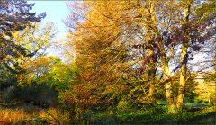 Herbstzauber Herbstzauber