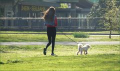 Spaziergang mit Hund Spaziergang mit Hund