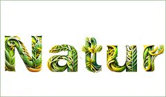 Gestaltung mit "firefly" Gestaltung mit "firefly"