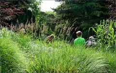 Menschen am Waldteich Menschen am Waldteich